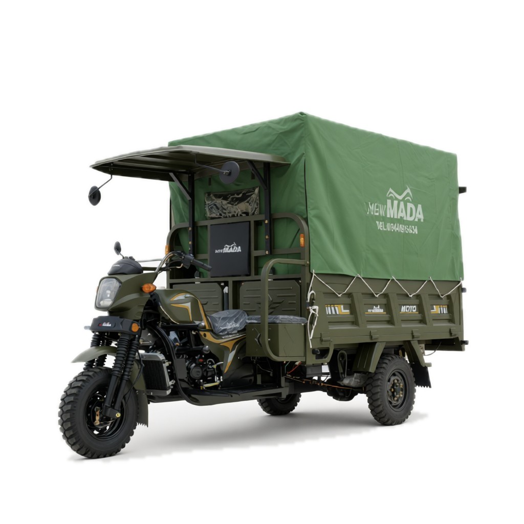 NM250ZH CARGO Tricycles cargo — vue studio (fond blanc neutre)