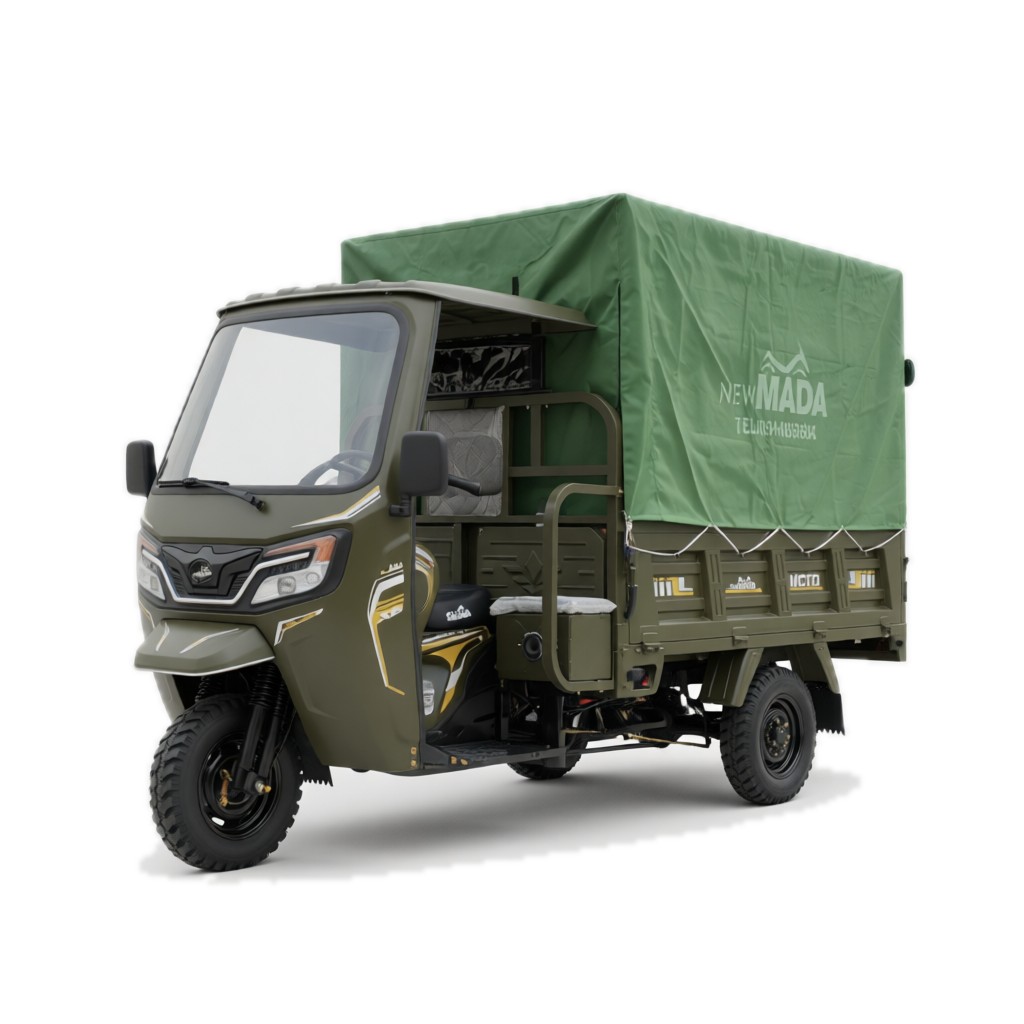 NM250ZH X2 Cargo Tricycles — studio view (clean white background)