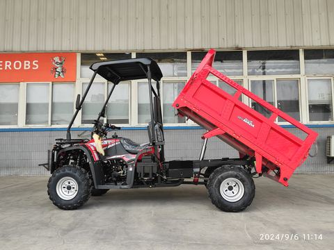 NM300-ATV ATV & Quad Bikes — factory photograph