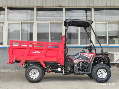 NM300-ATV ATV & Quad Bikes — factory photograph